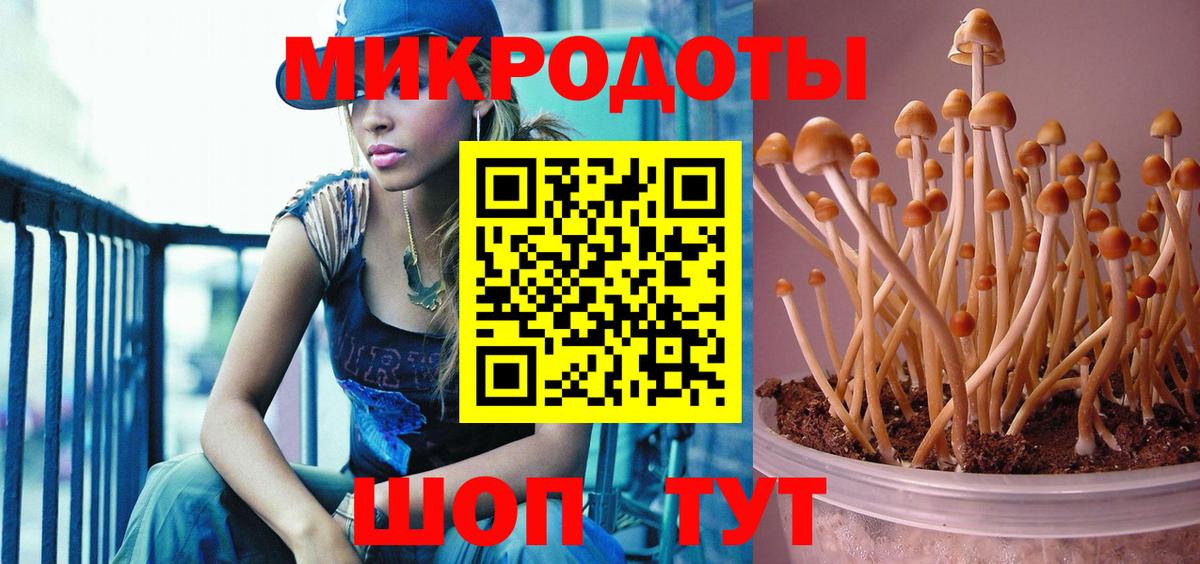 Галлюциногенные грибы прущие грибы  Вход с VPN  Прохладный 