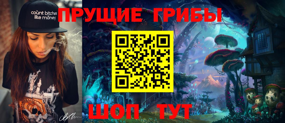 Псилоцибиновые грибы Psilocybe Прохладный